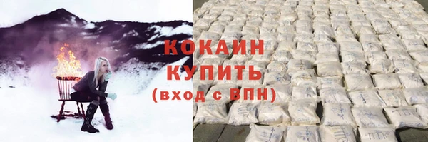прущие грибы Михайлов