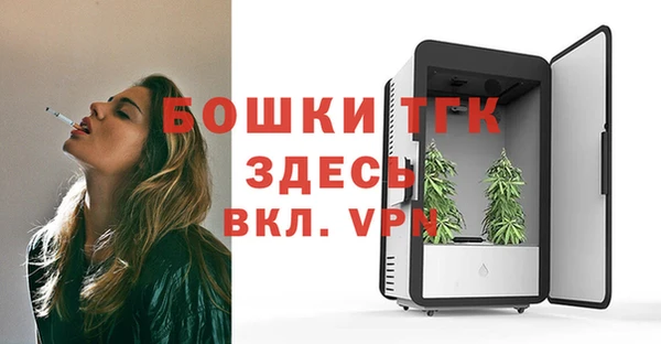 прущие грибы Михайлов