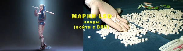 прущие грибы Михайлов