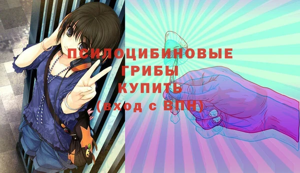 прущие грибы Михайлов