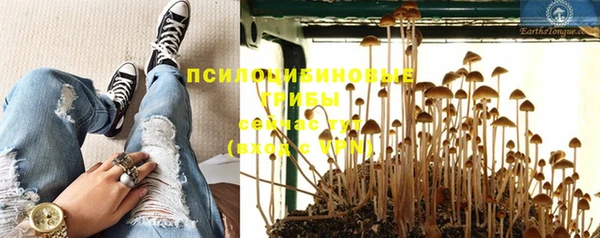 дживик Михайловка