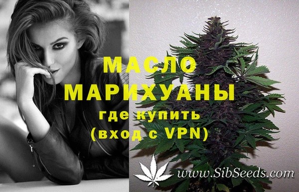 спиды Медногорск