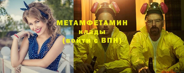 прущие грибы Михайлов