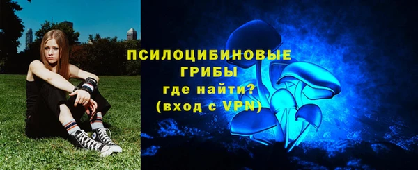 спиды Медногорск