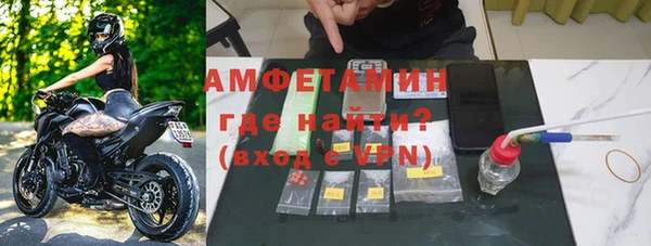 прущие грибы Михайлов