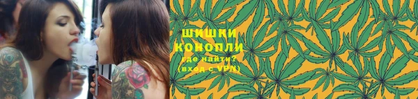 прущие грибы Михайлов
