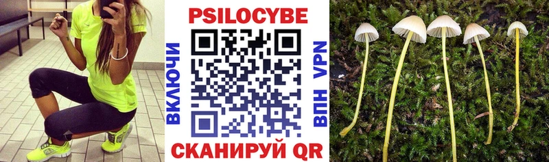 Псилоцибиновые грибы Magic Shrooms  купить наркотики цена  ссылка на мегу онион  Волоколамск 