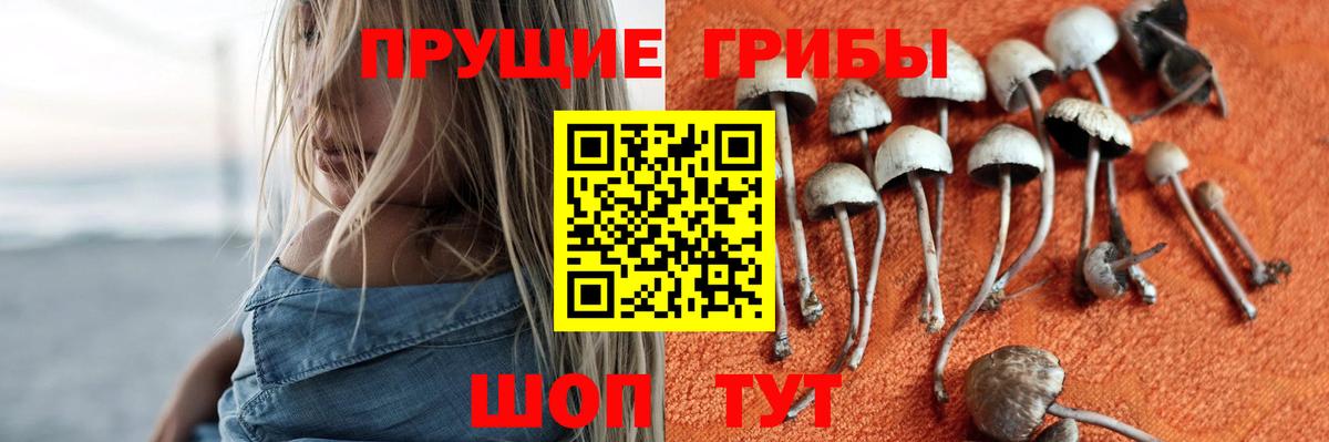 Галлюциногенные грибы прущие грибы  Вход с VPN  Галлюциногенные грибы MAGIC MUSHROOMS  Волоколамск 